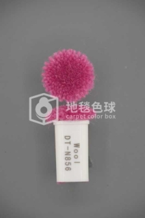 DT N856