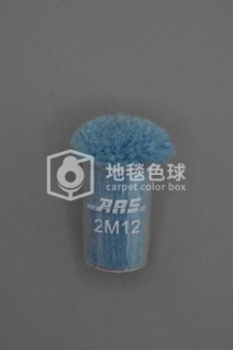 ARS 2M12