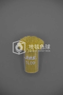 ARS 1L09