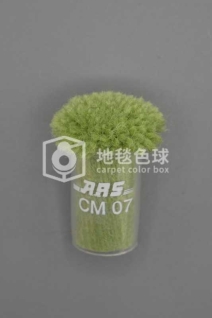 ARS CM07