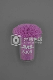 ARS 5J06