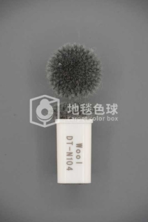 DT N104