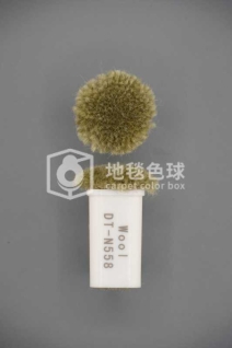 DT N558