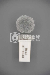 DT N043