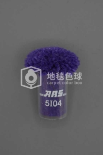 ARS 5I04
