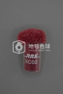 ARS 4C02