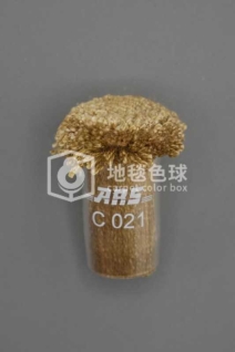 ARS C021