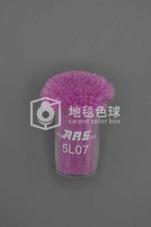 ARS 5L07