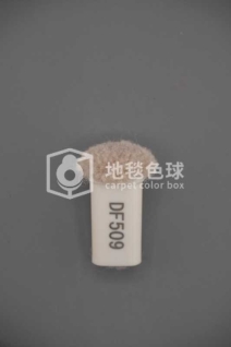 DF509