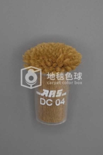 ARS DC04
