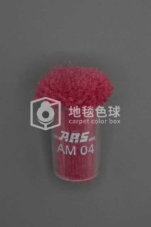 ARS AM04