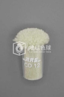 ARS CD12