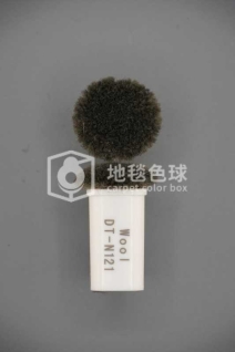 DT N121