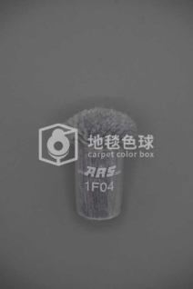 ARS 1F04