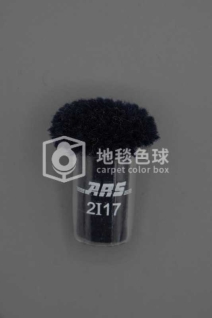 ARS 2I17
