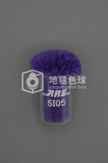 ARS 5I05