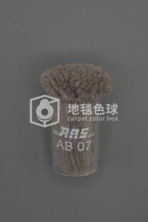 ARS AB07