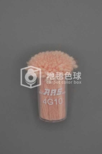 ARS 4G10