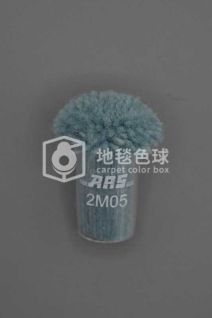ARS 2M05
