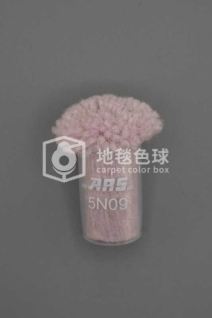 ARS 5N09