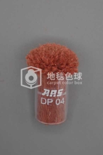 ARS DP04