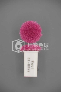 DT N855