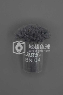ARS BN04