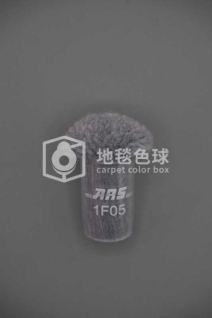 ARS 1F05