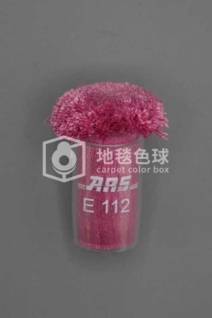 ARS E112