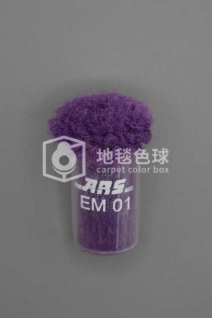 ARS EM01