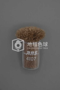 ARS 4I07