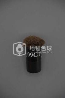 09C1