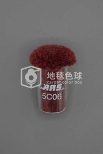ARS 5C06