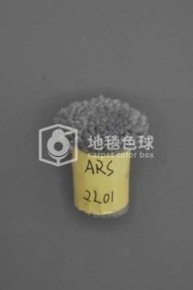 ARS 2L01