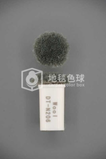 DT N206