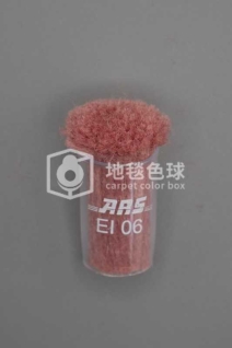 ARS EI06