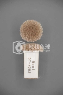DT N293