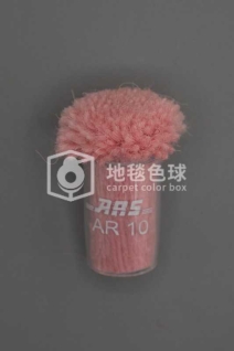 ARS AR10