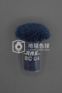 ARS BC04