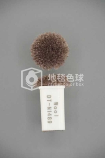 DT N1489