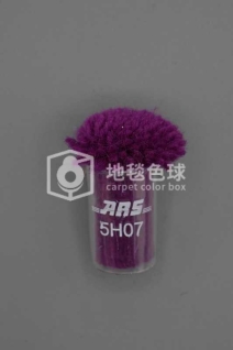 ARS 5H07