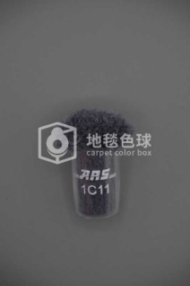 ARS 1C11