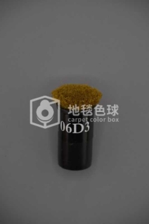 06D3