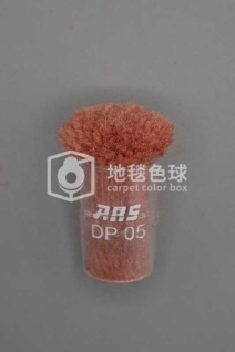 ARS DP05