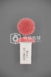 DT N920