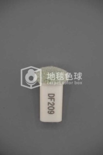 DF209