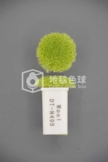 DT N495