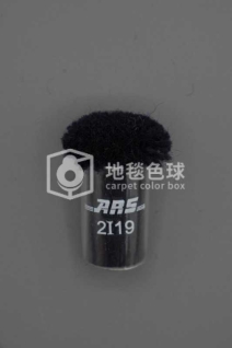ARS 2I19