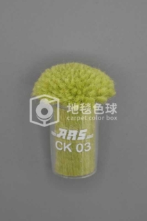 ARS CK03