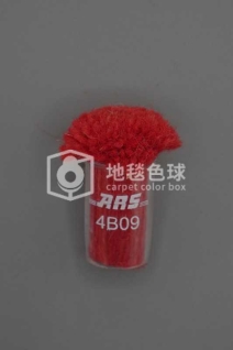 ARS 4B09